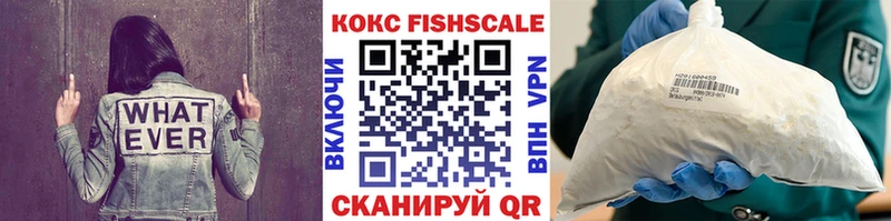 Cocaine Эквадор  ОМГ ОМГ зеркало  маркетплейс какой сайт  Егорьевск 