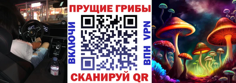 Псилоцибиновые грибы Psilocybine cubensis наркота Егорьевск