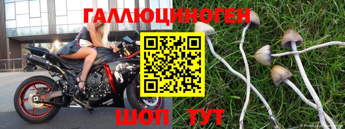 Псилоцибиновые грибы мухоморы  Вход с VPN  Егорьевск 